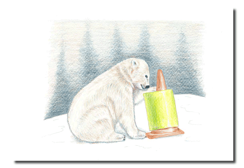 シロクマイラスト13｜ホッキョクグマと三角コーン