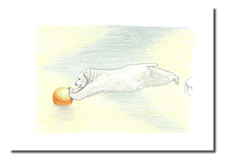 シロクマイラスト14｜ホッキョクグマと三角コーン