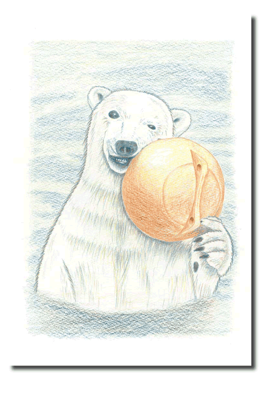 シロクマイラスト16｜ホッキョクグマと三角コーン