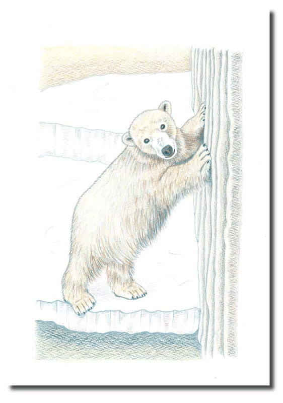シロクマイラスト17｜ホッキョクグマと三角コーン