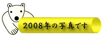 2008年の写真です