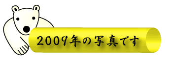 2009年の写真です