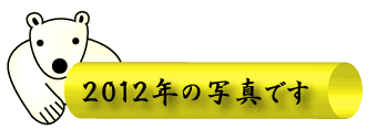 2012年の写真です