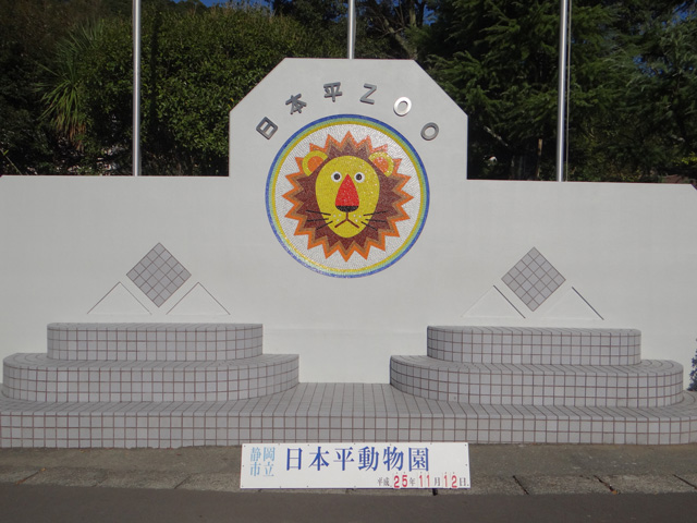 シロクマ1日本平動物園ロッシー2013｜ホッキョクグマと三角コーン
