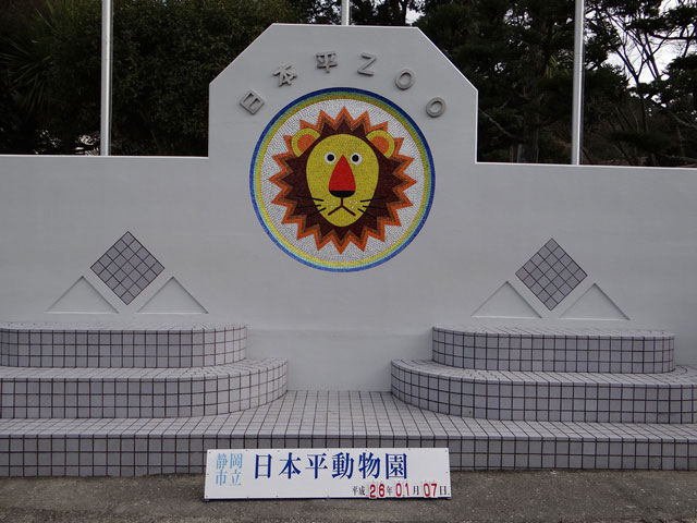 シロクマ38日本平動物園ロッシー2014｜ホッキョクグマと三角コーン