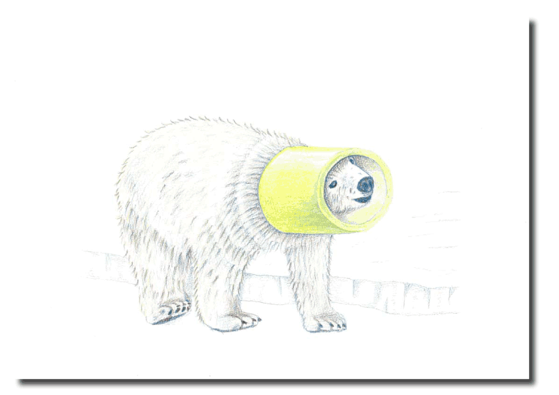 シロクマイラスト5｜ホッキョクグマと三角コーン