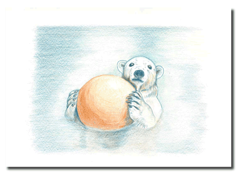 シロクマイラスト6｜ホッキョクグマと三角コーン