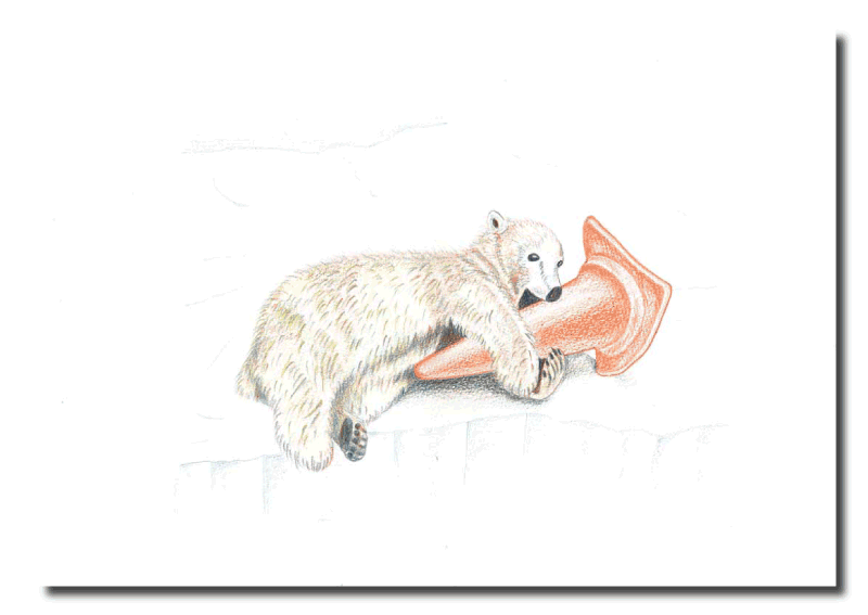 シロクマイラスト7｜ホッキョクグマと三角コーン