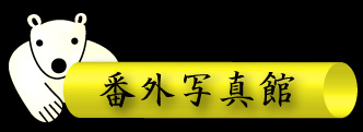 番外写真館