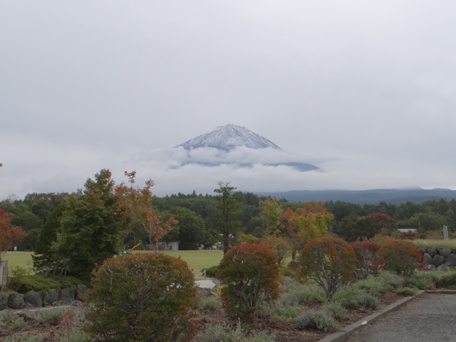 番外写真館富士山初冠雪2｜ホッキョクグマと三角コーン