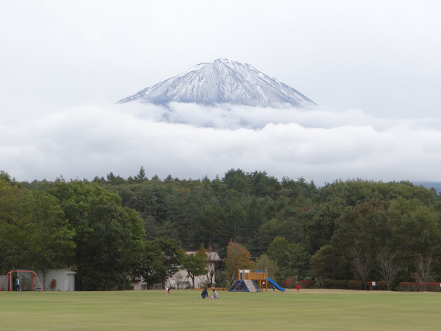 番外写真館富士山初冠雪4｜ホッキョクグマと三角コーン