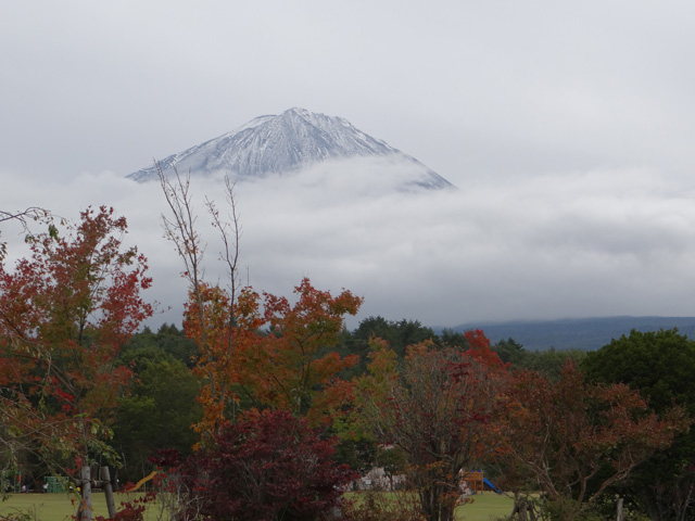 番外写真館富士山初冠雪6｜ホッキョクグマと三角コーン
