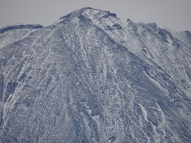 番外写真館富士山初冠雪12｜ホッキョクグマと三角コーン