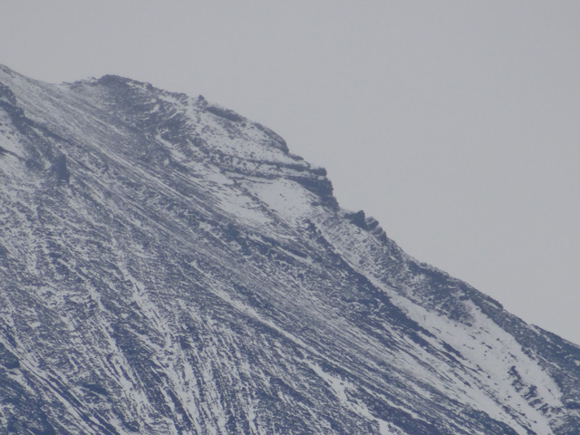 番外写真館富士山初冠雪15｜ホッキョクグマと三角コーン