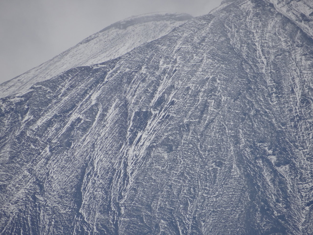 番外写真館富士山初冠雪16｜ホッキョクグマと三角コーン