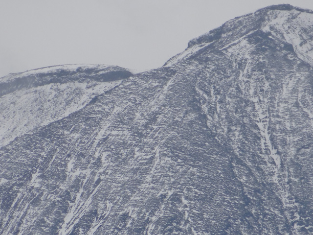 番外写真館富士山初冠雪17｜ホッキョクグマと三角コーン