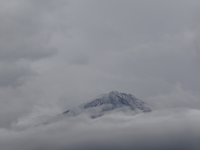番外写真館富士山初冠雪19｜ホッキョクグマと三角コーン