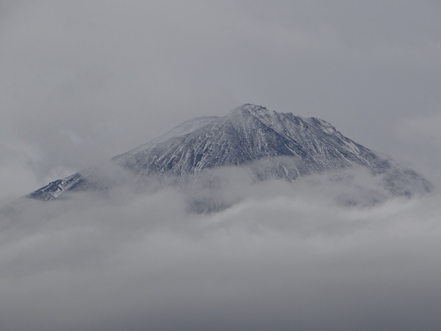 番外写真館富士山初冠雪20｜ホッキョクグマと三角コーン