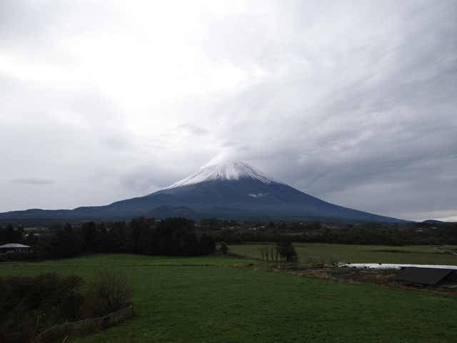 番外写真館富士山初冠雪23｜ホッキョクグマと三角コーン