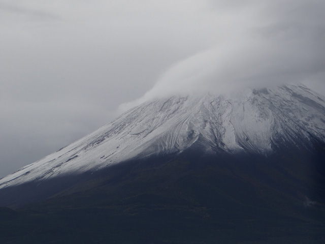 番外写真館富士山初冠雪25｜ホッキョクグマと三角コーン