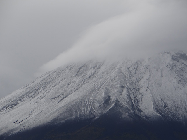 番外写真館富士山初冠雪27｜ホッキョクグマと三角コーン