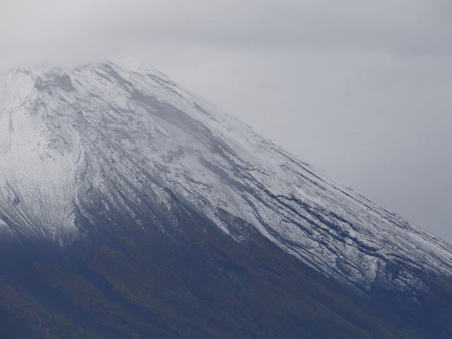 番外写真館富士山初冠雪29｜ホッキョクグマと三角コーン