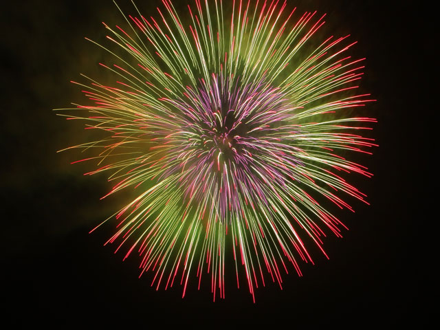番外写真館安倍川花火10｜ホッキョクグマと三角コーン