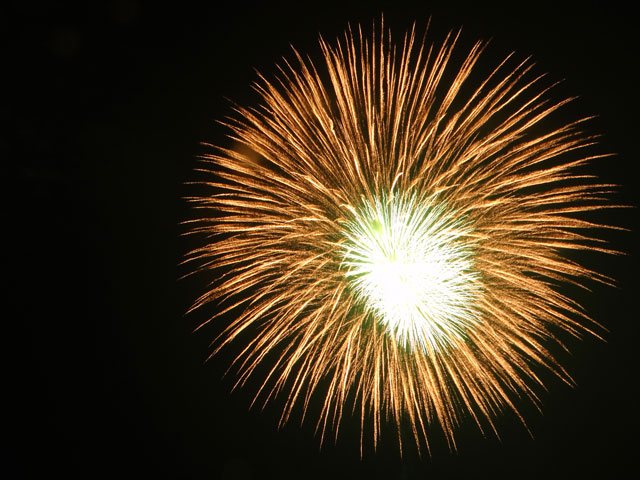 番外写真館安倍川花火11｜ホッキョクグマと三角コーン