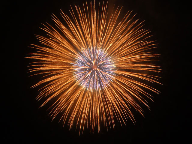 番外写真館安倍川花火12｜ホッキョクグマと三角コーン