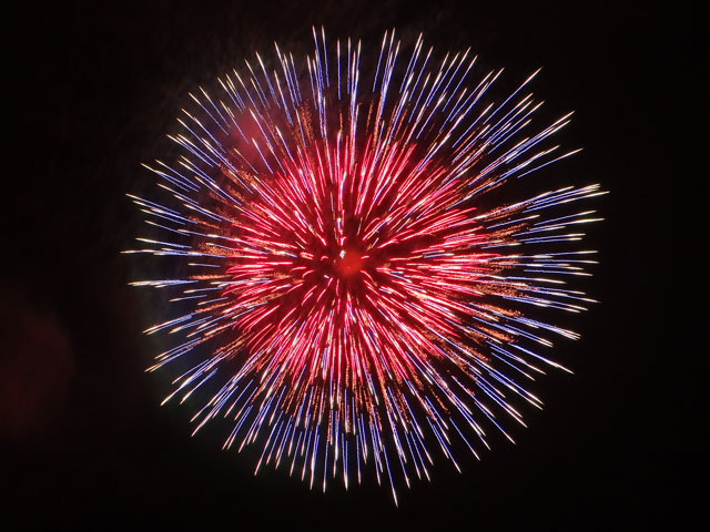 番外写真館安倍川花火14｜ホッキョクグマと三角コーン