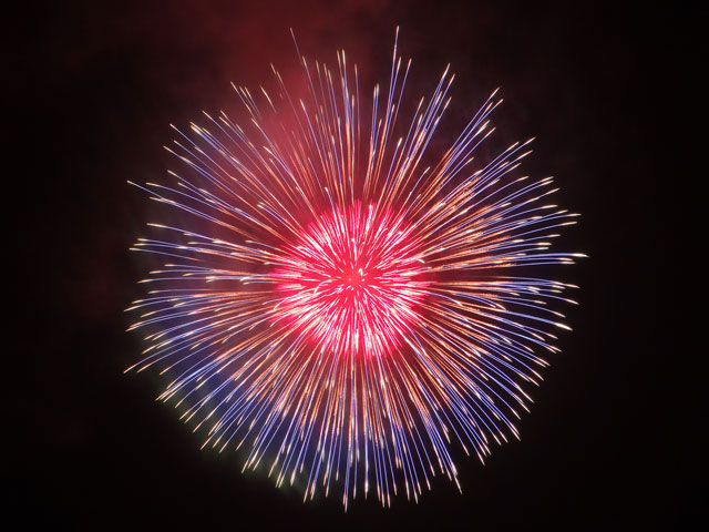 番外写真館安倍川花火17｜ホッキョクグマと三角コーン