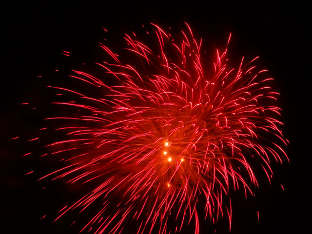 番外写真館安倍川花火19｜ホッキョクグマと三角コーン