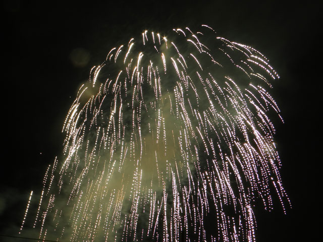 番外写真館安倍川花火33｜ホッキョクグマと三角コーン