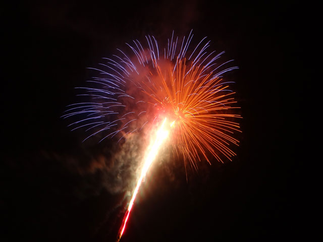 番外写真館安倍川花火41｜ホッキョクグマと三角コーン