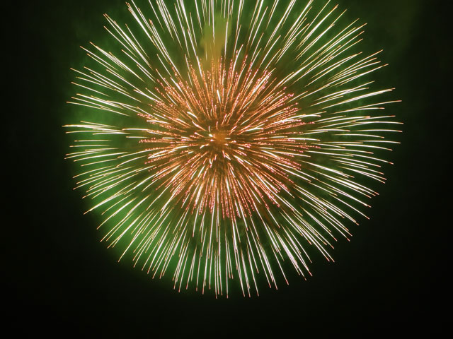 番外写真館安倍川花火5｜ホッキョクグマと三角コーン