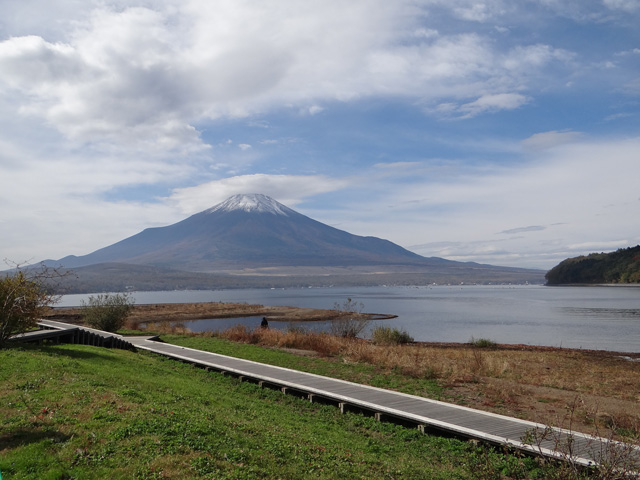 番外写真館紅葉25｜ホッキョクグマと三角コーン