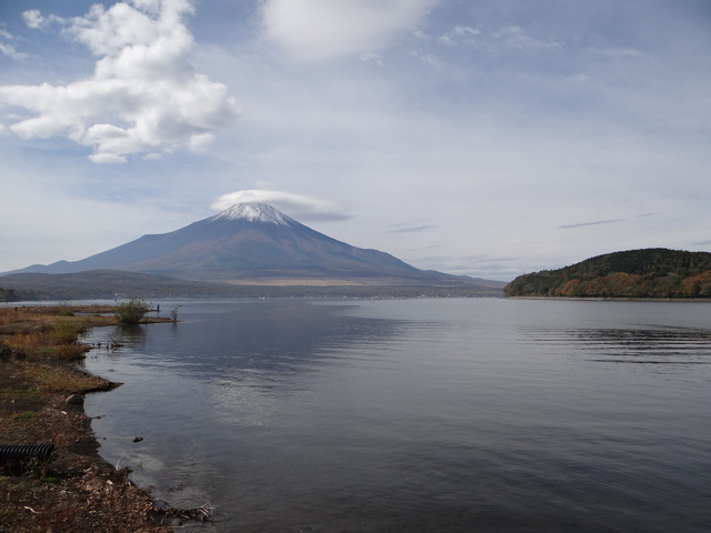 番外写真館紅葉27｜ホッキョクグマと三角コーン