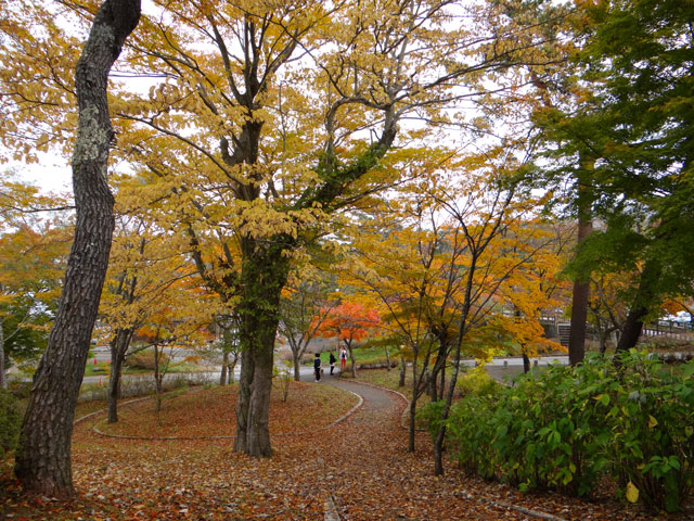 番外写真館紅葉55｜ホッキョクグマと三角コーン