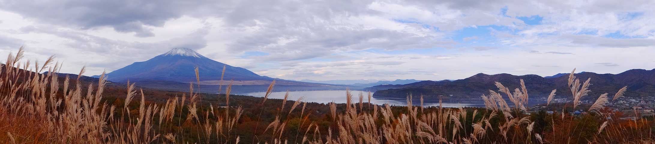 番外写真館紅葉67｜ホッキョクグマと三角コーン