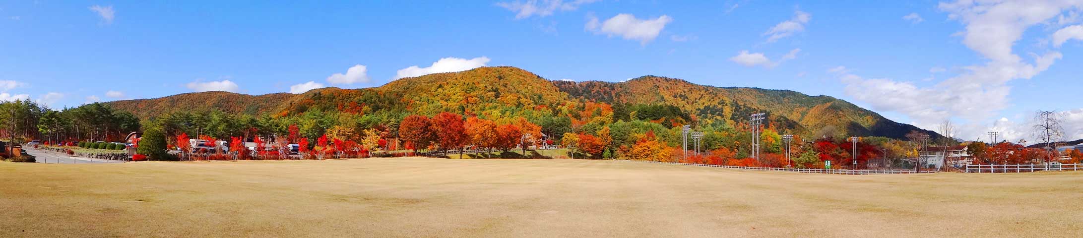 番外写真館紅葉71｜ホッキョクグマと三角コーン