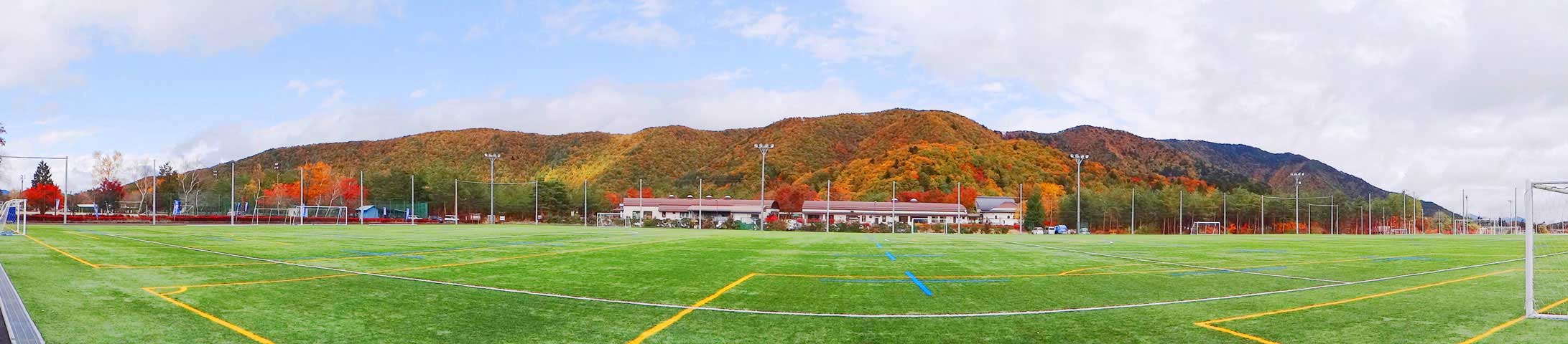 番外写真館紅葉72｜ホッキョクグマと三角コーン