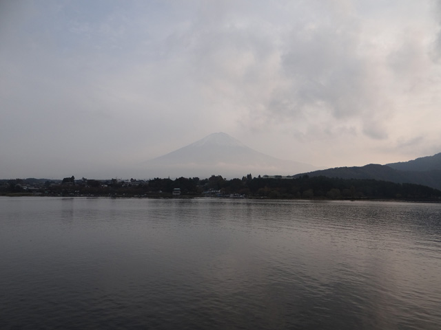 番外写真館紅葉76｜ホッキョクグマと三角コーン