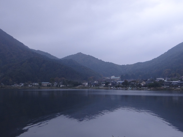 番外写真館紅葉77｜ホッキョクグマと三角コーン