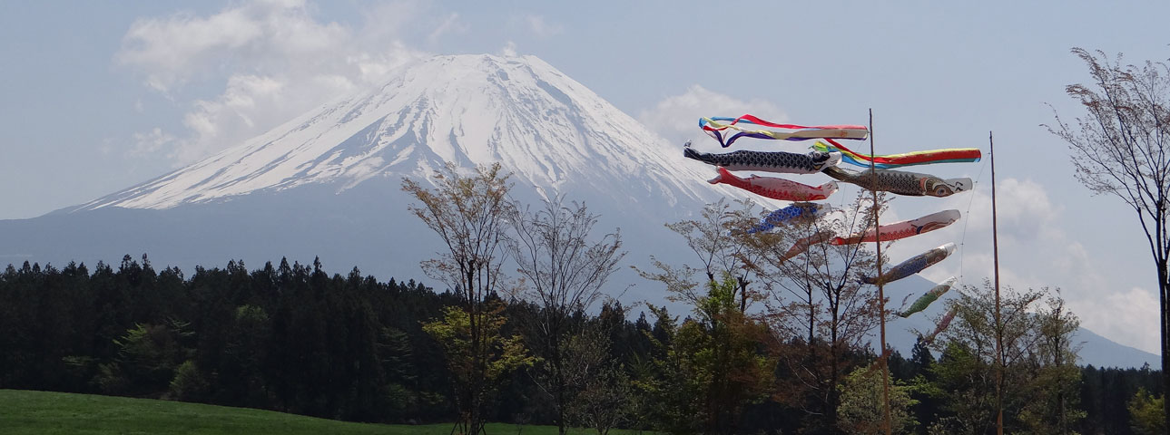 番外写真館初夏の富士山麓19｜ホッキョクグマと三角コーン