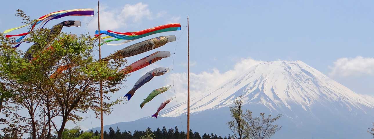 番外写真館初夏の富士山麓20｜ホッキョクグマと三角コーン