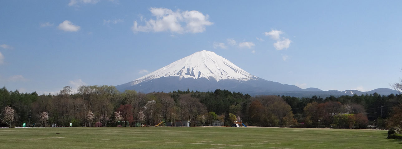番外写真館初夏の富士山麓22｜ホッキョクグマと三角コーン