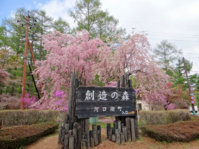 番外写真館初夏の富士山麓27｜ホッキョクグマと三角コーン