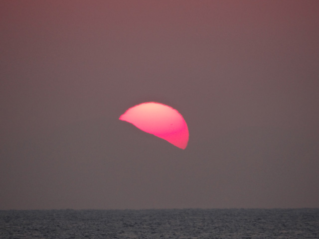 2014年初日の出6｜ホッキョクグマと三角コーン