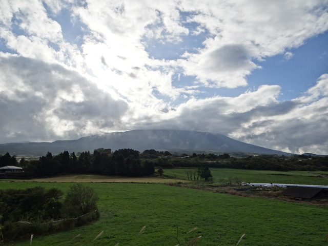 番外写真館秋の富士山23｜ホッキョクグマと三角コーン