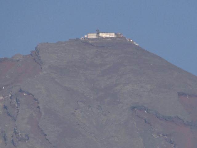 番外写真館秋の富士山21｜ホッキョクグマと三角コーン